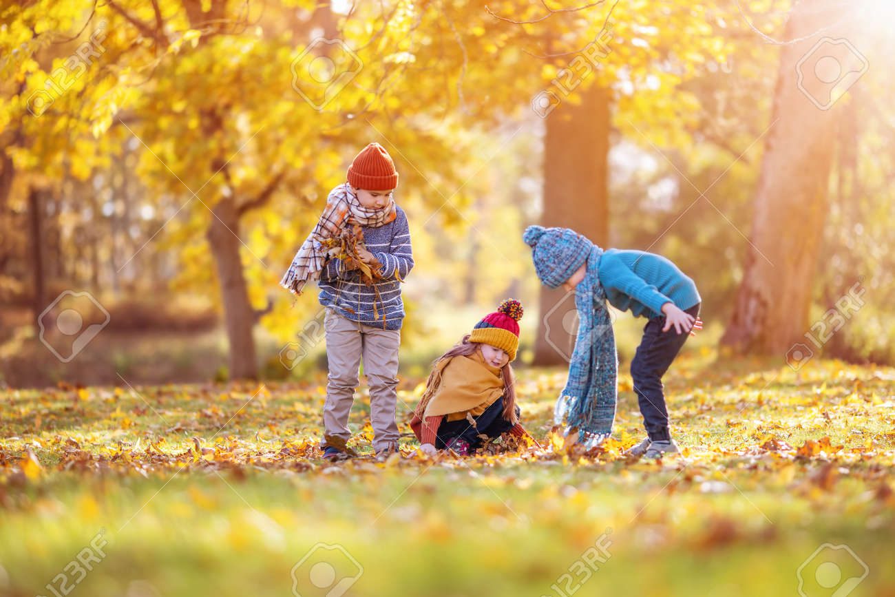 Niños jugando en parque con naturaleza