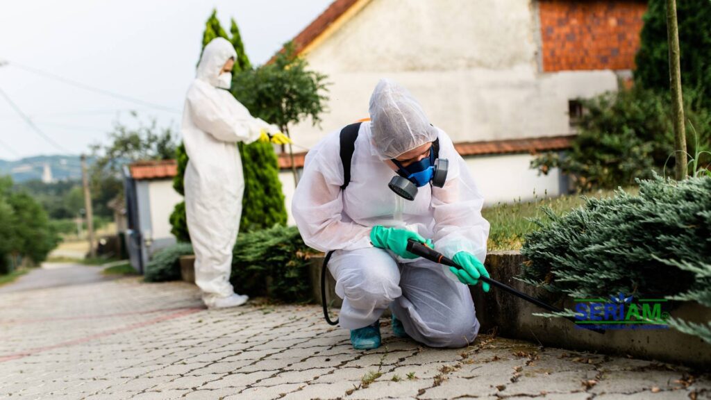 fumigación y control de plagas