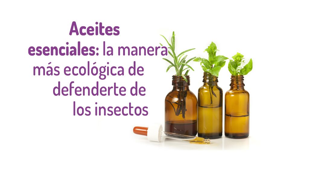 Aceites esenciales para insecticida casero ecológico