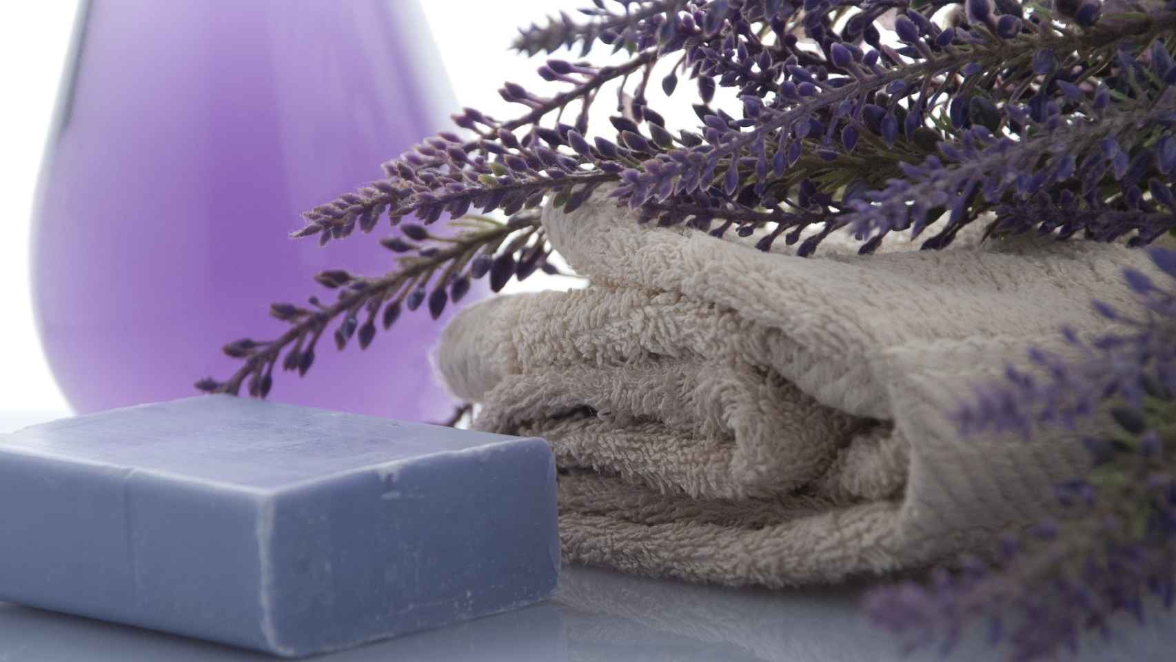 Plantas aromáticas para neutralizar olores en casa