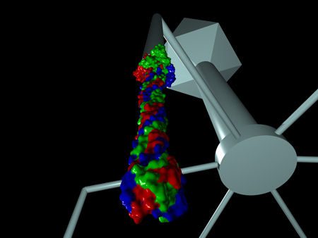Estructura molecular del bacteriófago T4