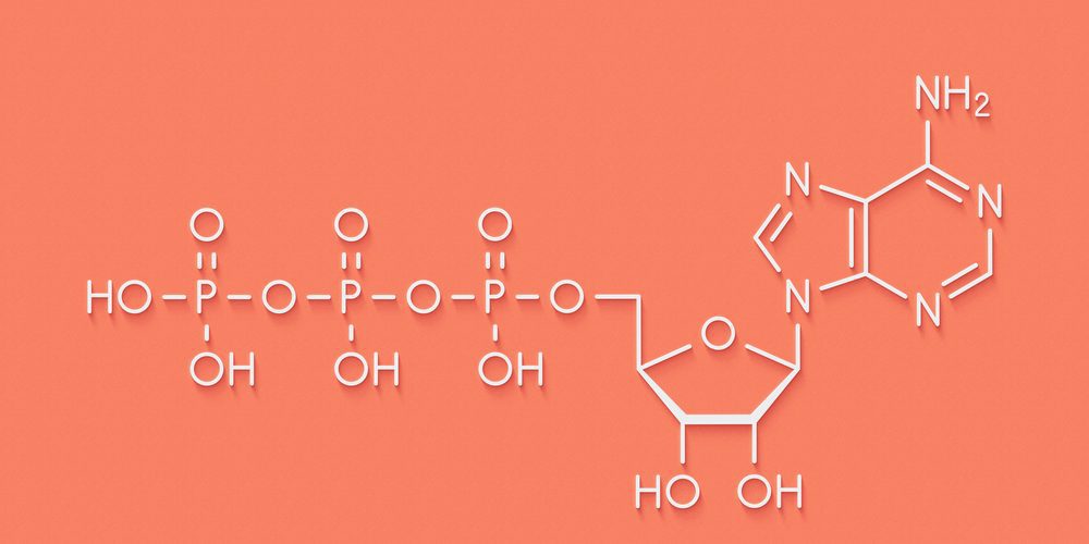 Molécula de ATP en proceso celular