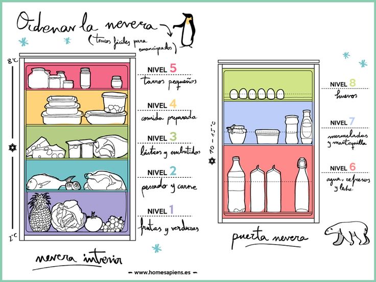 Organización de alimentos en el refrigerador