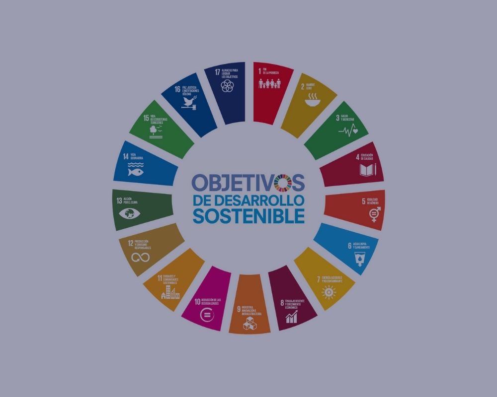 Colaboración entre países y empresas por ODS