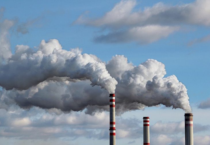 Por qué la sal mata a los sapos: Explicación científica