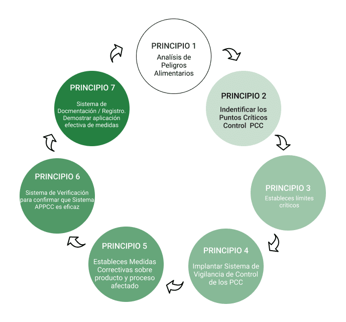 Proceso de implementación del sistema APPCC