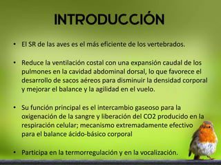 Comparación de sistemas respiratorios en insectos, aves y peces