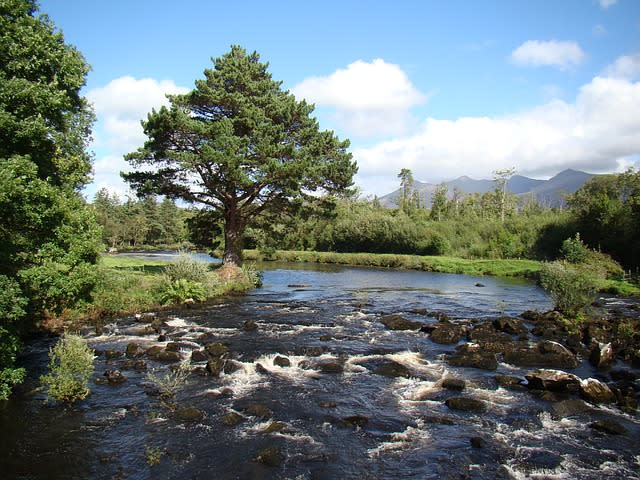 Río limpio con agua cristalina y fresca