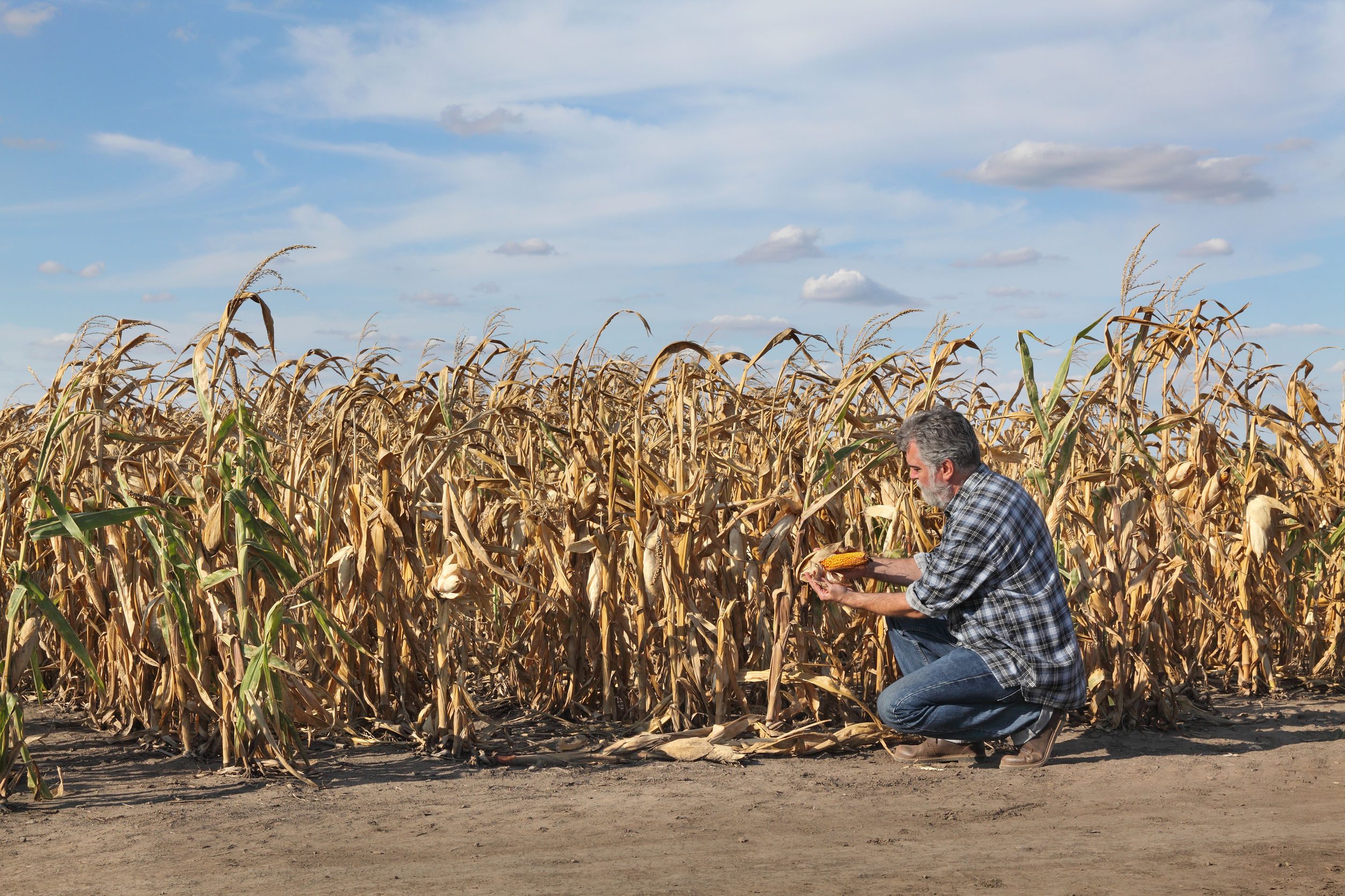 Impacto del cambio climático en la agricultura
