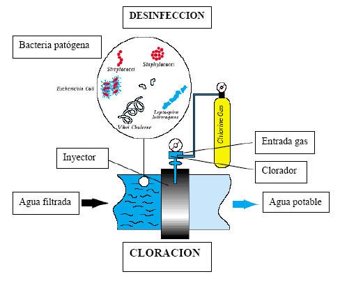 Proceso de desinfección con cloro en acción
