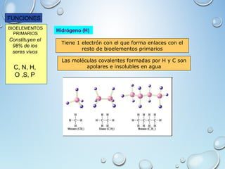 Representación visual de la composición química