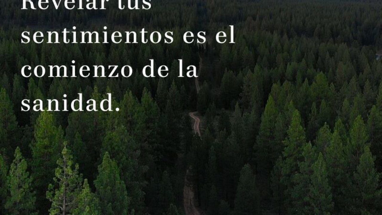 Cómo puedo confesarle a alguien que me gusta sin miedo