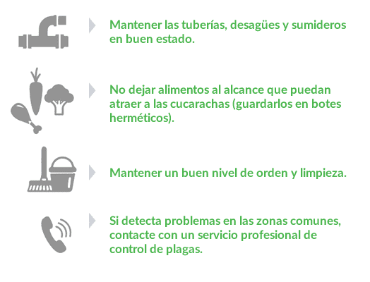 Consejos para prevenir infestaciones de cucarachas