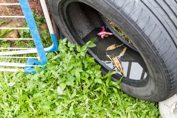 Agua estancada en neumático viejo al aire libre