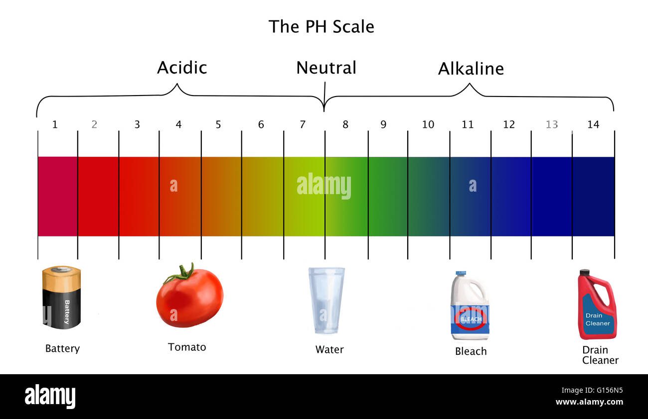 Escala de pH con ejemplos visuales