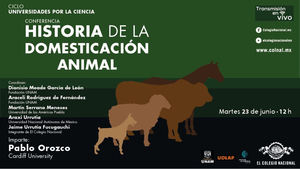 Cuáles fueron los primeros animales domesticados