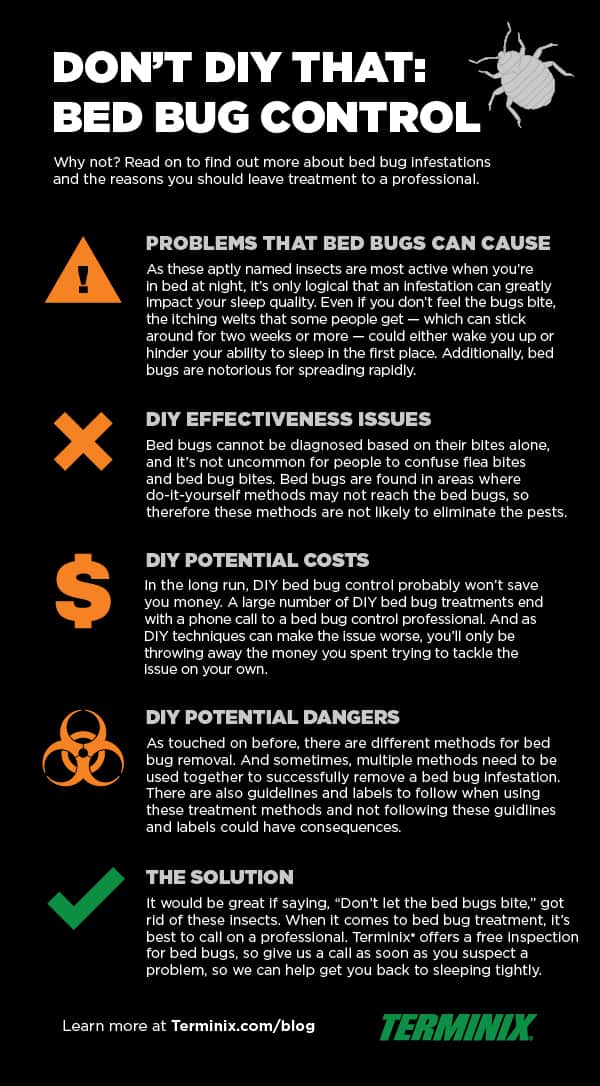 Bed bug prevention tips for long-term control