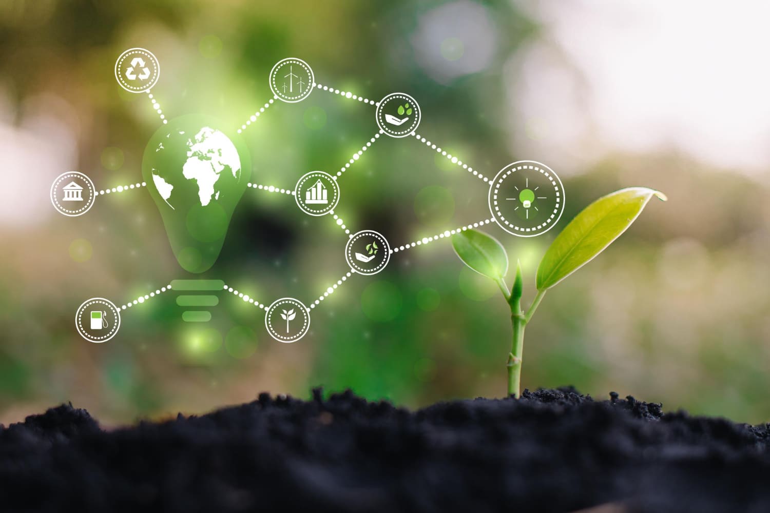 Ecología y sostenibilidad en la industria
