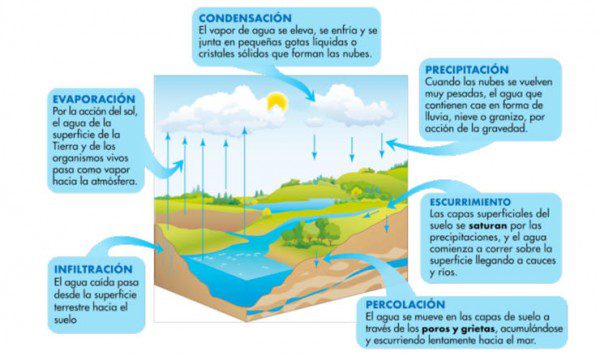 Comparación de agua de mar, de río y reciclada