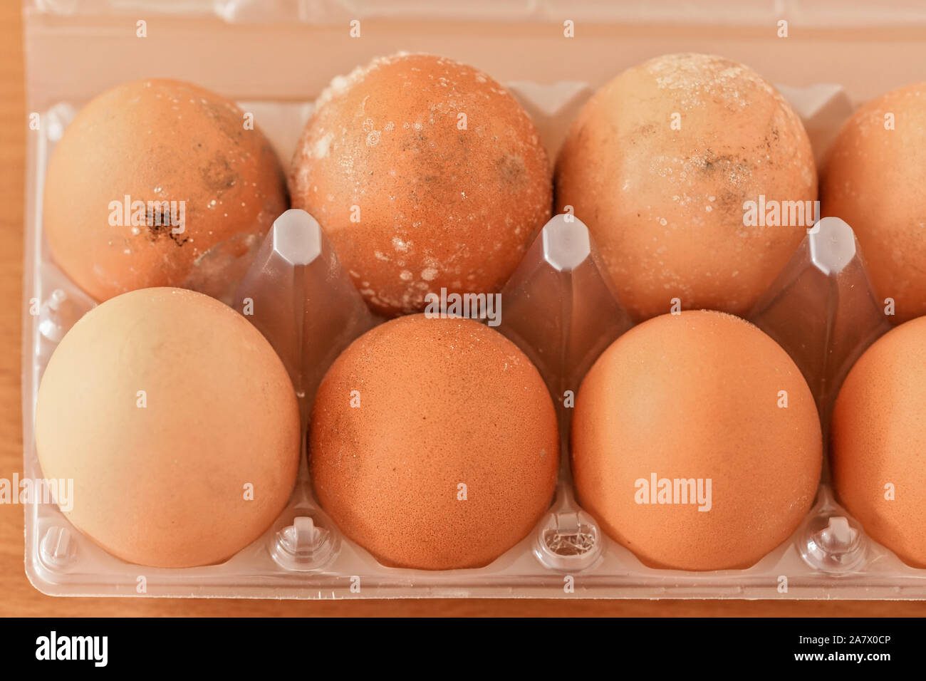 Huevo duro con manchas o moho