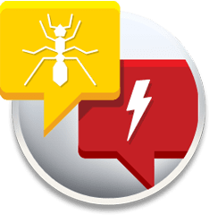 Experto en insectos respondiendo preguntas comunes