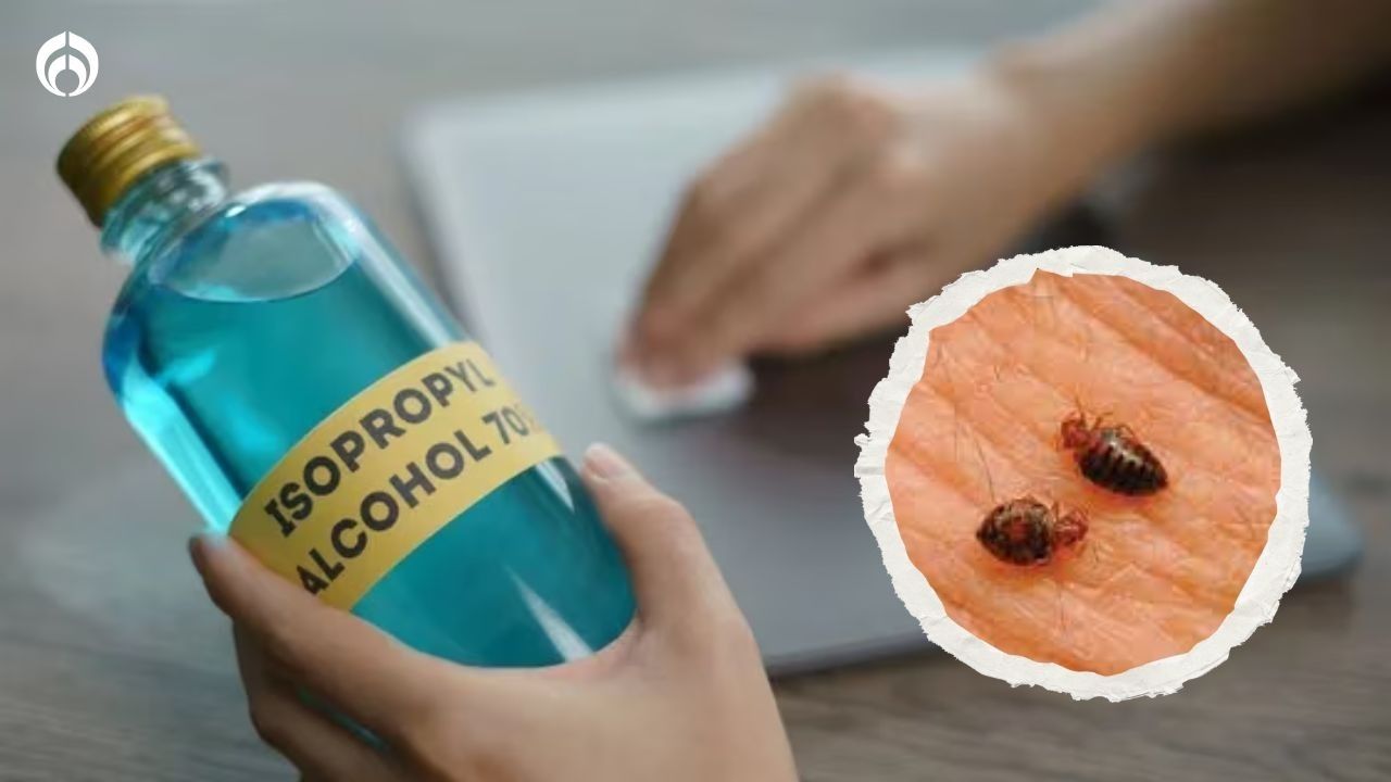 Botella de alcohol y chinches muertas
