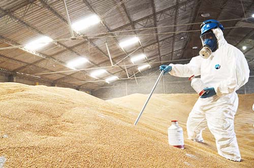 Fumigación segura en granos almacenados