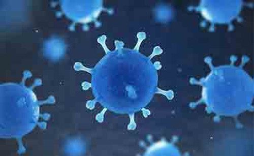 Microorganismos patógenos en el agua