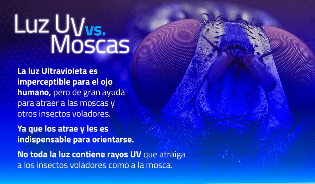 Luz ultravioleta atrayendo mosquitos en la noche