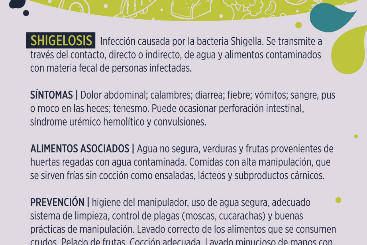 Comparación visual de síntomas de Shigella y E. coli