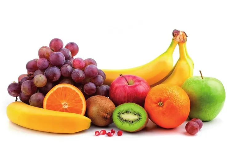 ¿Qué fruta come una cotorra? Descubre su dieta