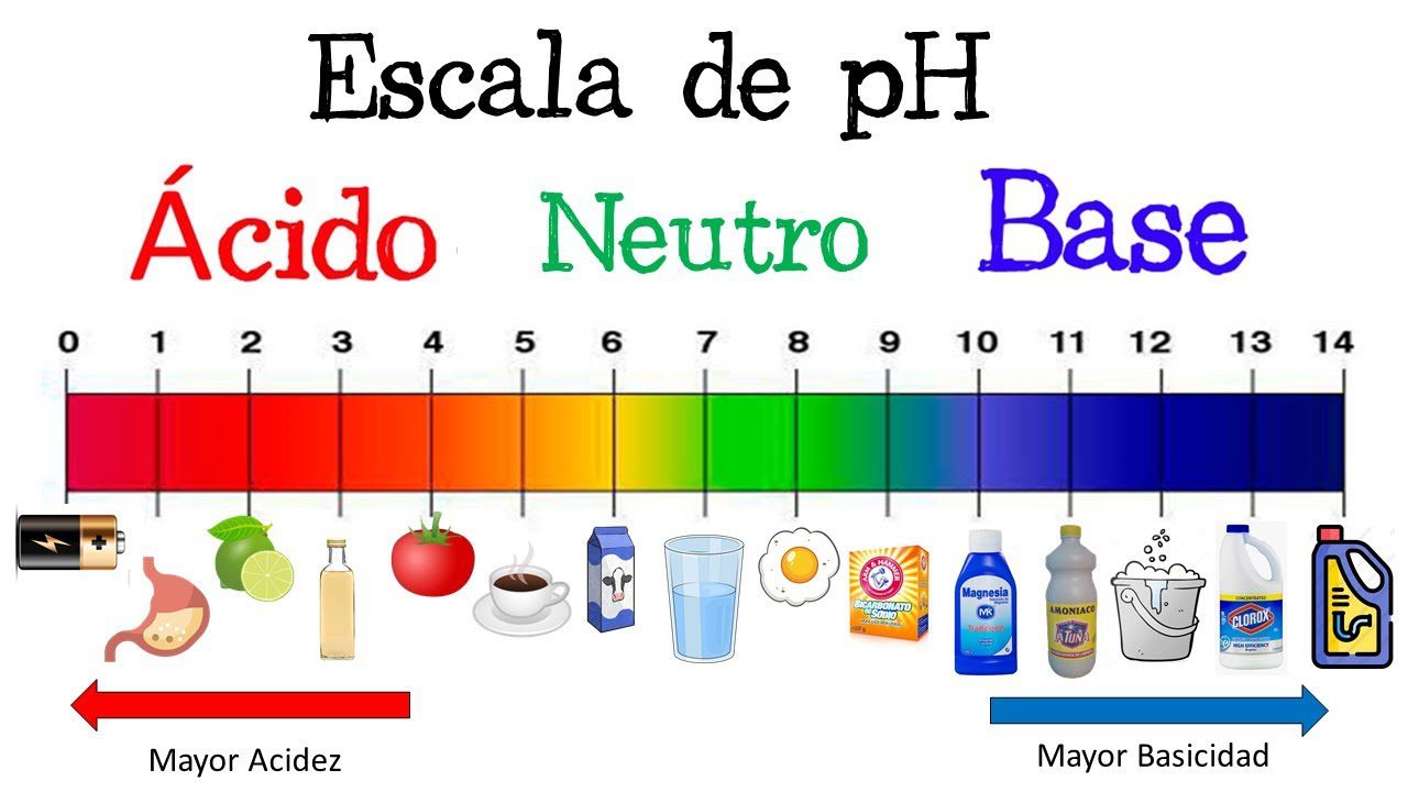 Escalas de pH con sustancias cotidianas