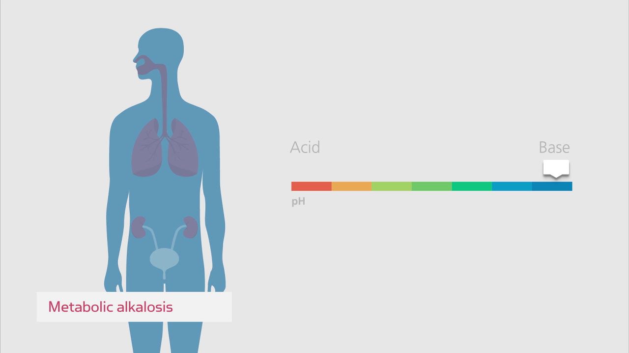Diagrama del equilibrio ácido-base en el cuerpo