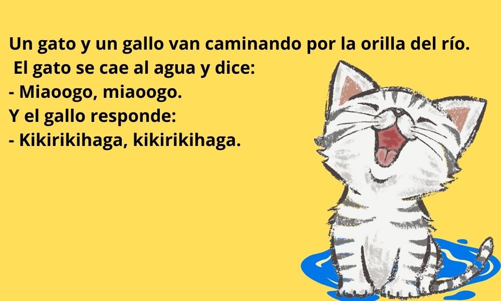 Dónde encontrar los mejores chistes de "no es lo mismo pero es igual"