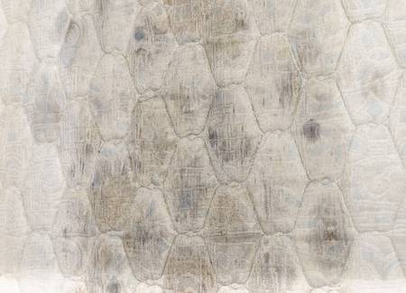 Colchón con manchas de humedad y hongos