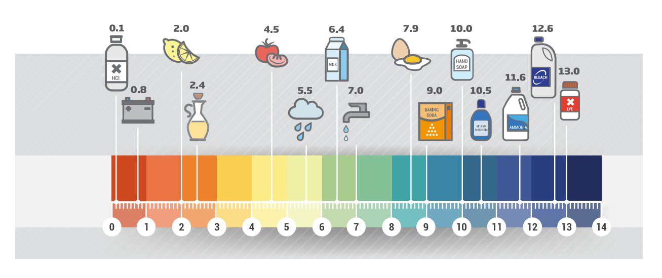 ¿Qué nos indica la escala de pH? Entendiendo su importancia