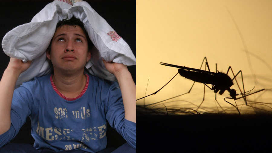 Persona protegiéndose de mosquitos cerca del oído