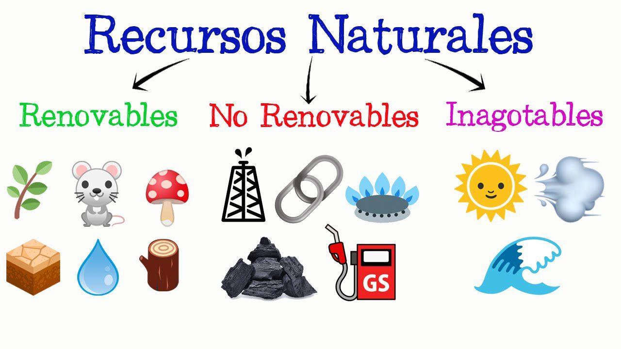 Los animales son un recurso renovable o no renovable