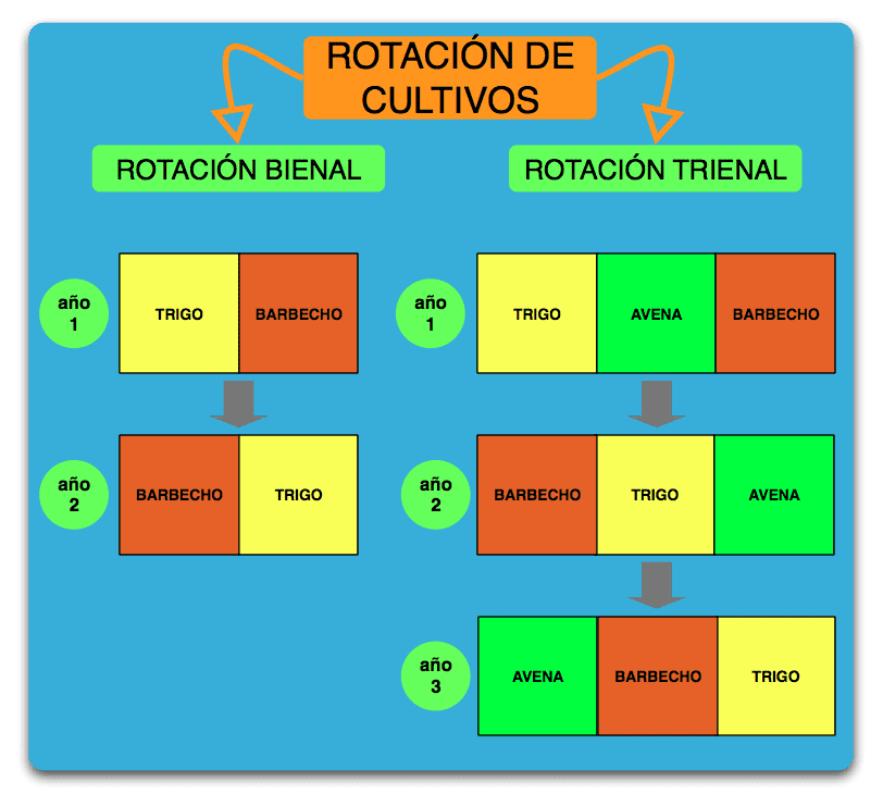 Rotación de cultivos en la Edad Media