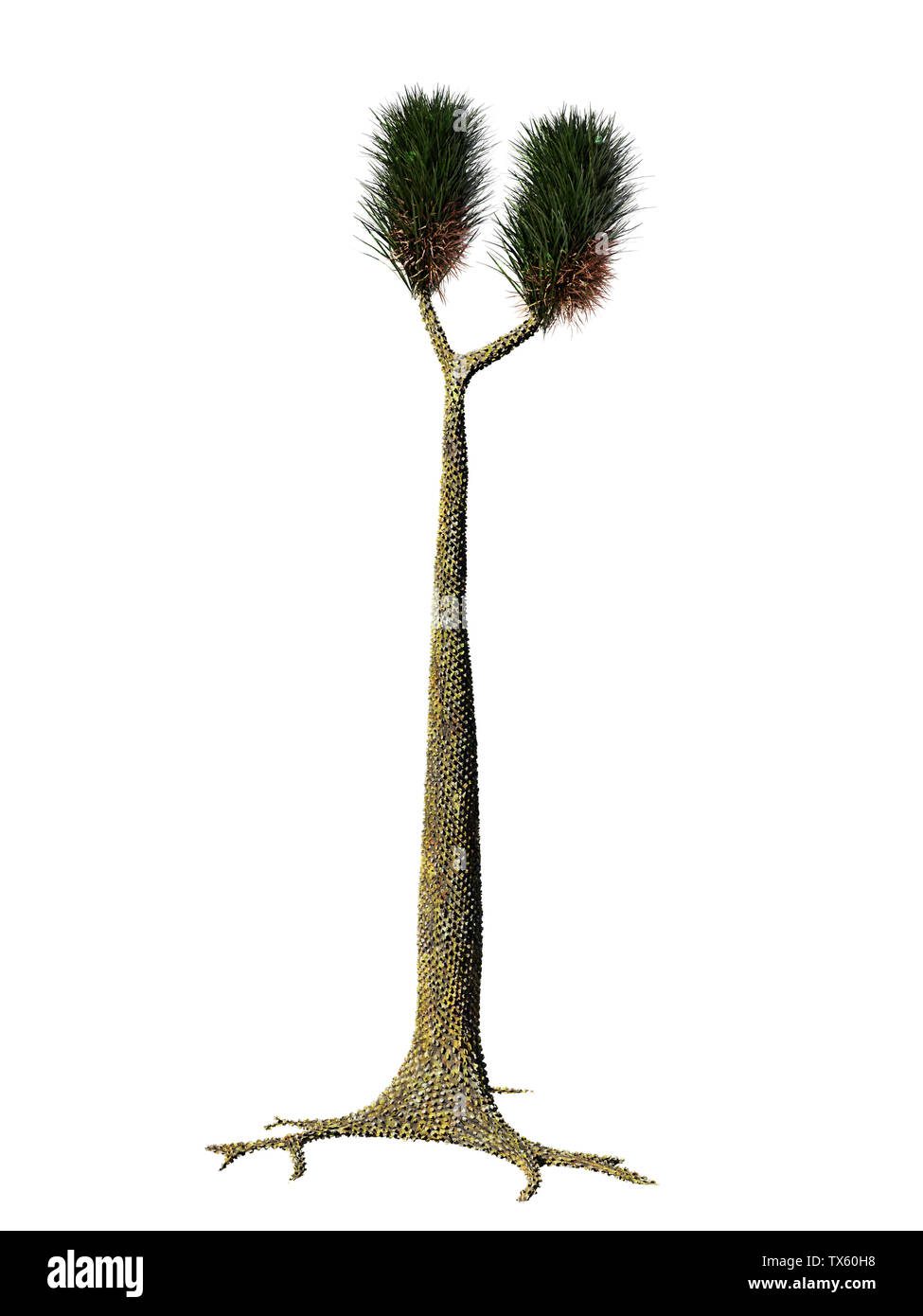 Plantas prehistóricas extintas: reconstrucción visual