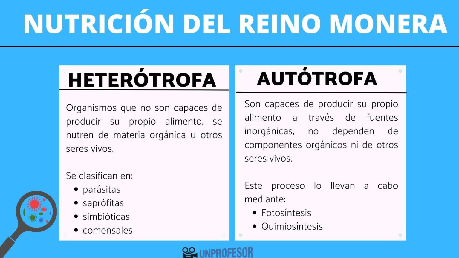 Qué tipo de nutrición tienen las bacterias autótrofa o heterótrofa