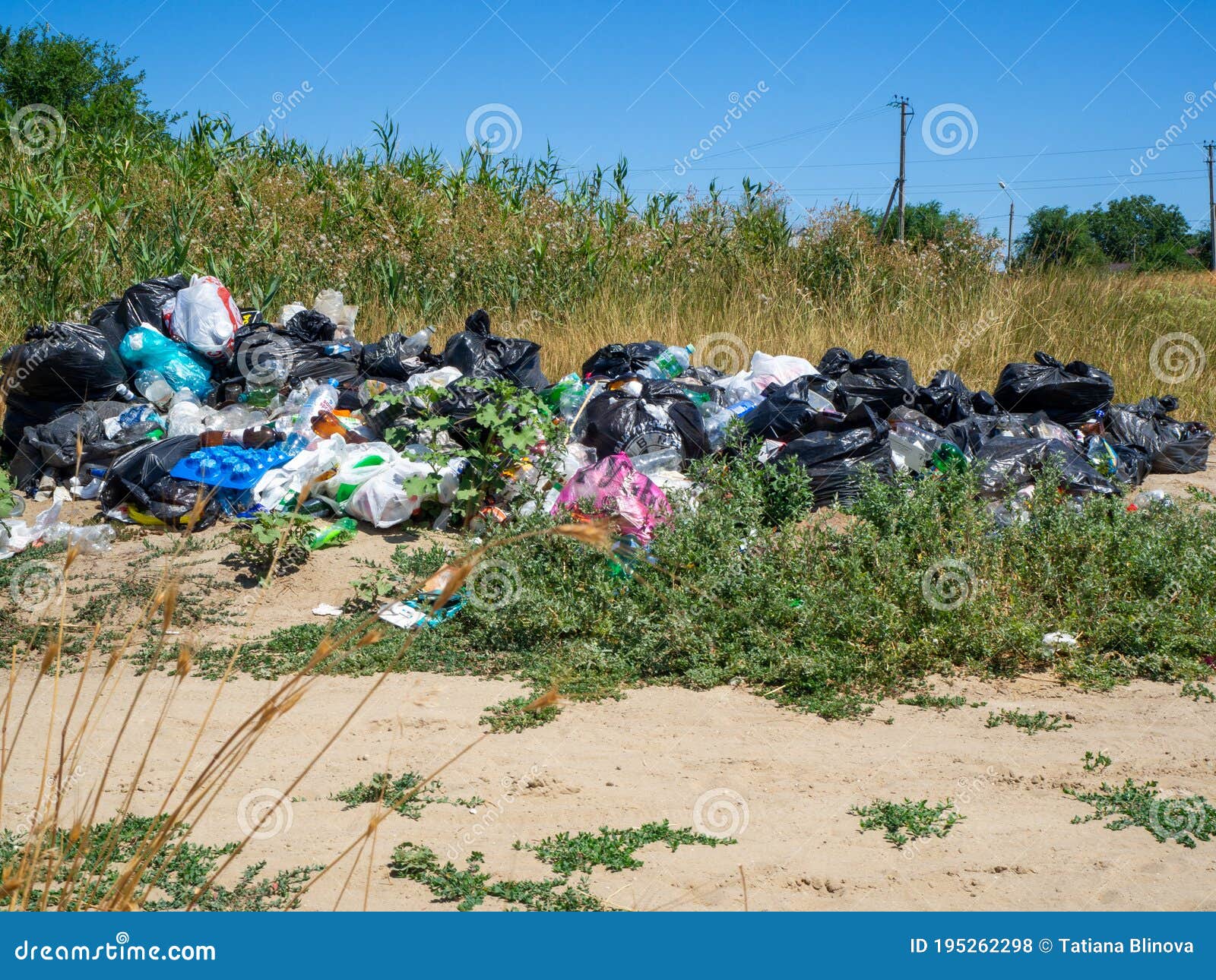Montones de bolsas plásticas contaminando la naturaleza